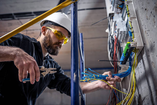 Best Electric Panel Repair  in Erwinville, LA